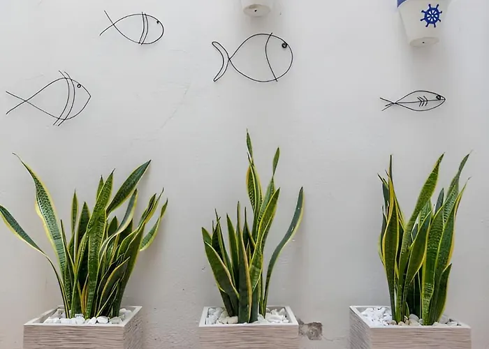 Appartamento Puerto Valenza